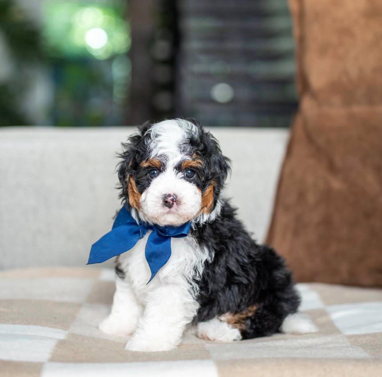 Bentley