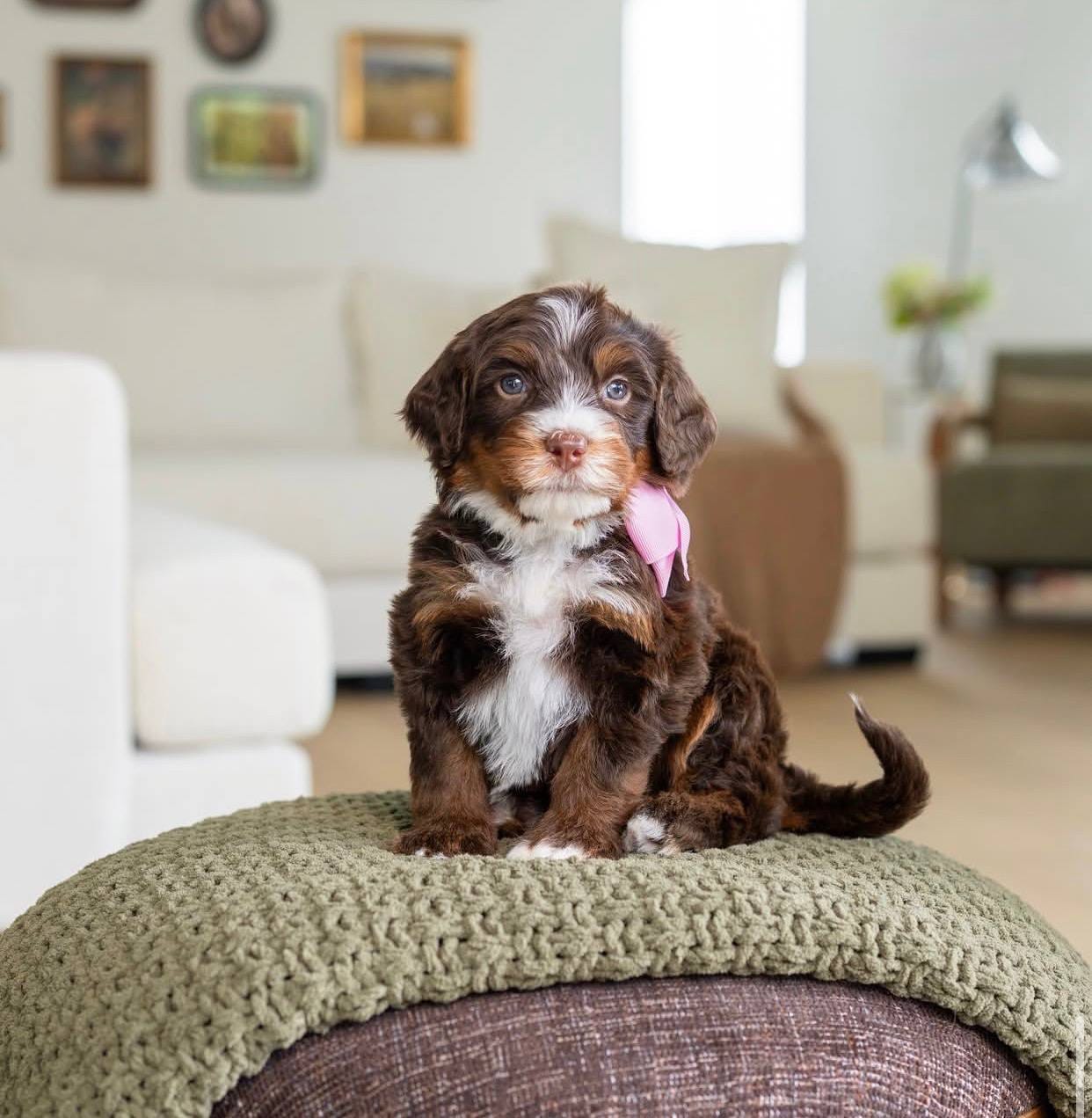 Coco